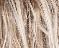 Ice biscuit blond (1001/14+10)