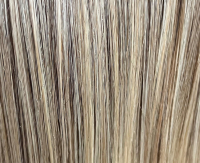 Biscuit blond rooted (19/23rooted)