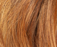 Copper red rooted (28/33+6)