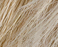 Platinblonde mix