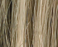 Sand rooted