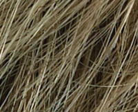 Sandyblonde rooted