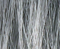 Silverstar
