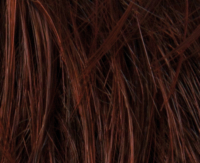 Darkauburn rooted