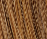 HONEYBROWN ROOTED - HOBR HONEYBROWN ROOTED - HOBR