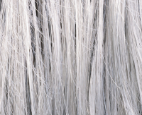 Metallic grey rooted