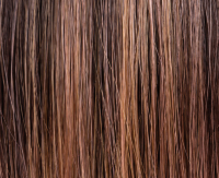 Rosewood lighted