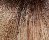 Light bernstein root