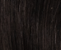 V4 Midnight V4 Midnight