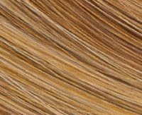 V6-37SR Honey Maple V6-37SR Honey Maple