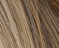 V7/6-10SR Heartwood V7/6-10SR Heartwood