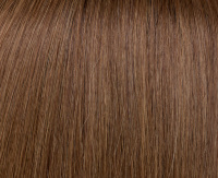 Bernstein root Bernstein root