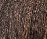 Brown mix (M(4+8)/810) Brown mix (M(4+8)/810)