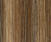 Bernstein rooted Bernstein rooted