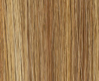 Lightbernstein rooted Lightbernstein rooted