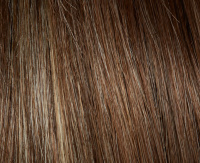 Bernstein rooted Bernstein rooted