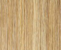 Sandyblonde rooted Sandyblonde rooted