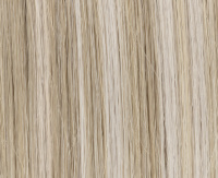 Silverblonde rooted Silverblonde rooted