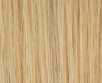 Champagne rooted Champagne rooted