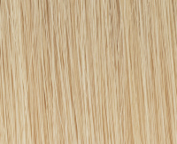 Lightchampagne rooted Lightchampagne rooted