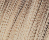 Light blond rooted (23/22+10) Light blond rooted (23/22+10)