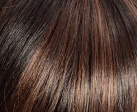 Chocolate hazelnut Chocolate hazelnut