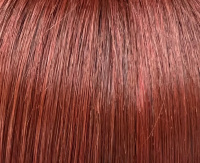 Chestnut mix Chestnut mix