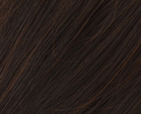 Dark brown (N4/6) Dark brown (N4/6)