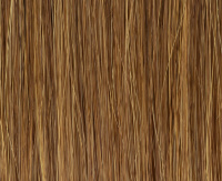 Mocca rooted Mocca rooted