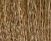 Sand rooted Sand rooted