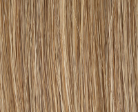 Sandmulti rooted Sandmulti rooted