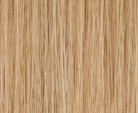 Sandyblonde rooted Sandyblonde rooted