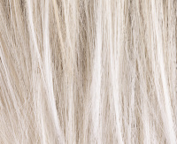 Silverblonde rooted Silverblonde rooted