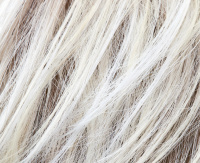 Frost blond rooted (1001/613-14+14) Frost blond rooted (1001/613-14+14)