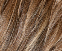 Dark blond rooted (12/14/26+12) Dark blond rooted (12/14/26+12)