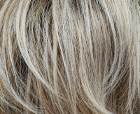 Medium blond mix rooted (23/14+10) Medium blond mix rooted (23/14+10)