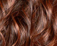 Chestnut brown (29/8) Chestnut brown (29/8)