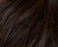 Dark brown (N4/6) Dark brown (N4/6)