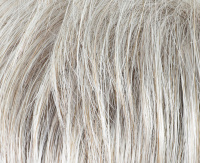 Silver Grey Silver Grey
